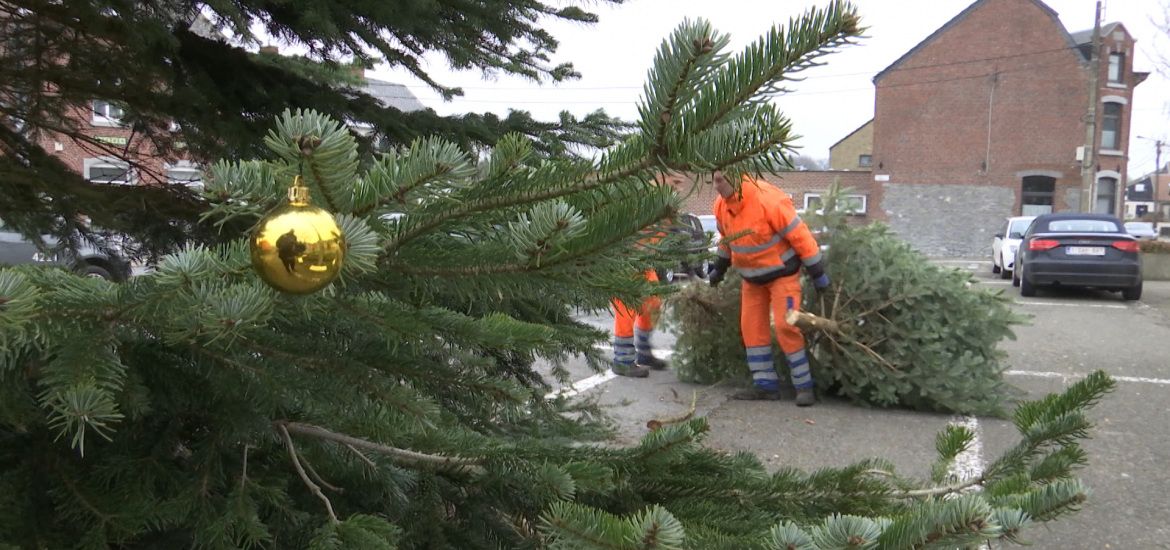 Thuin Voici Les Dates Pour Le Ramassage Des Sapins De No L T L Sambre